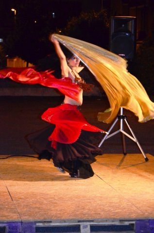 221_ La danzatrice_Tema Libero